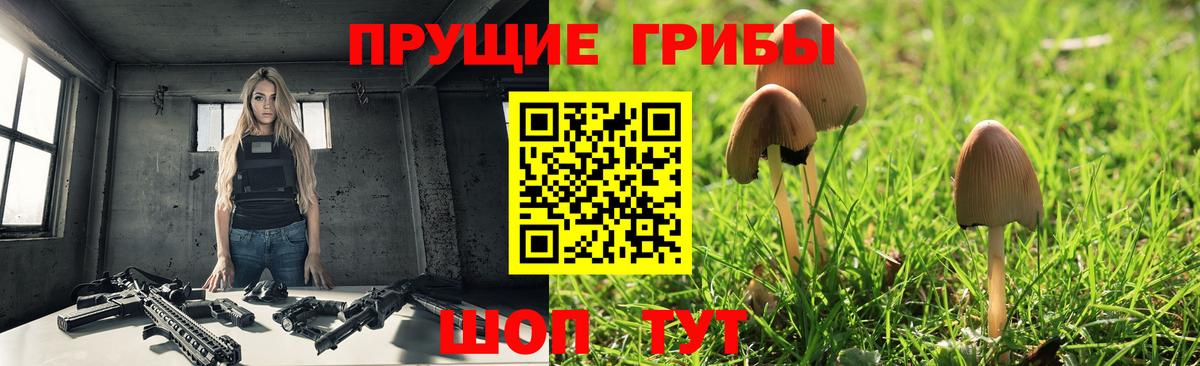 Галлюциногенные грибы мухоморы Глазов