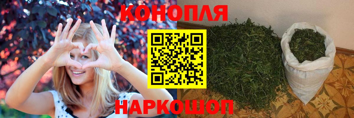 Каннабис планчик Глазов